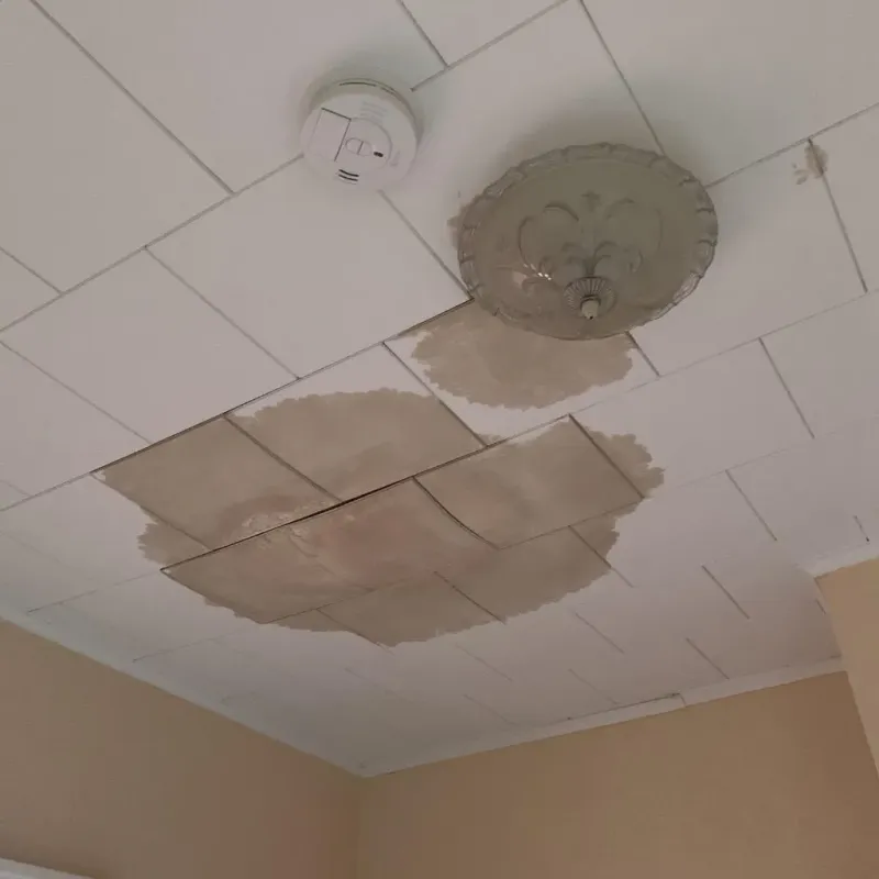 Ceiling Water Damage Repair in Roan Mountain, TN