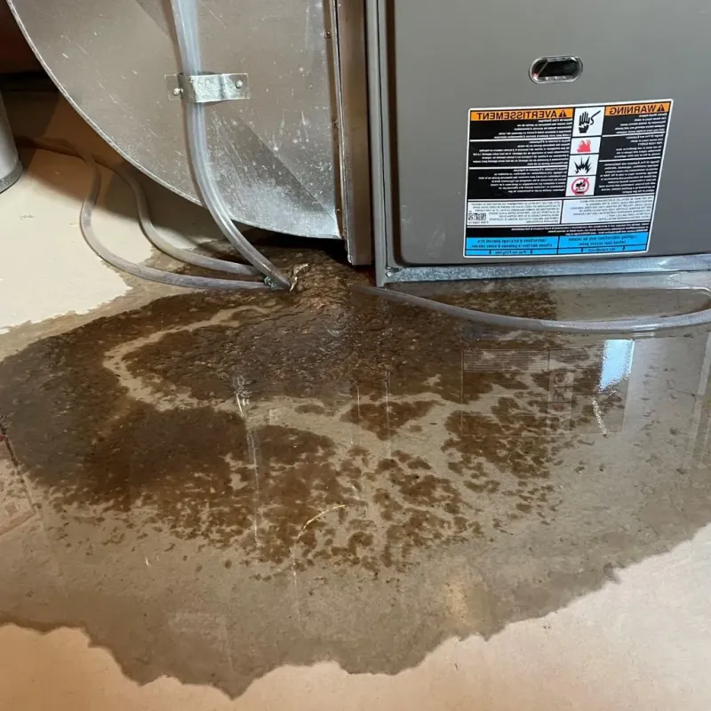 Pipe Burst and Leak Restoration in Roan Mountain, TN