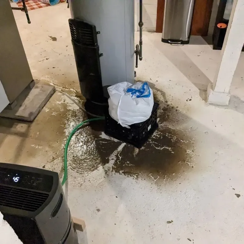 Sewage Backup Cleanup Service in Roan Mountain, TN